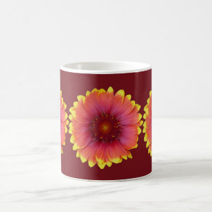 Gaillardia 1 tasse