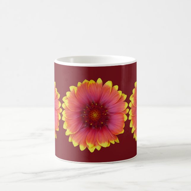 Gaillardia 1 tasse (Mittel)