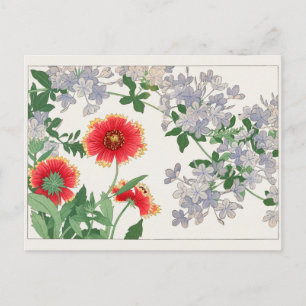 Gaillardia, Plumbago von Tanigami Konan Postkarte