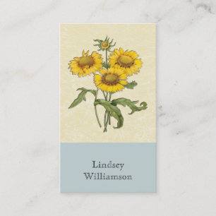 Gaillardia-Sonnenblume-botanisches Visitenkarte
