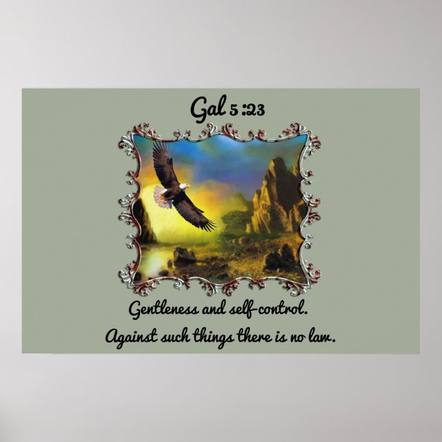Gal 5:23 Ruhe und Kontrolle Poster (Vorne)