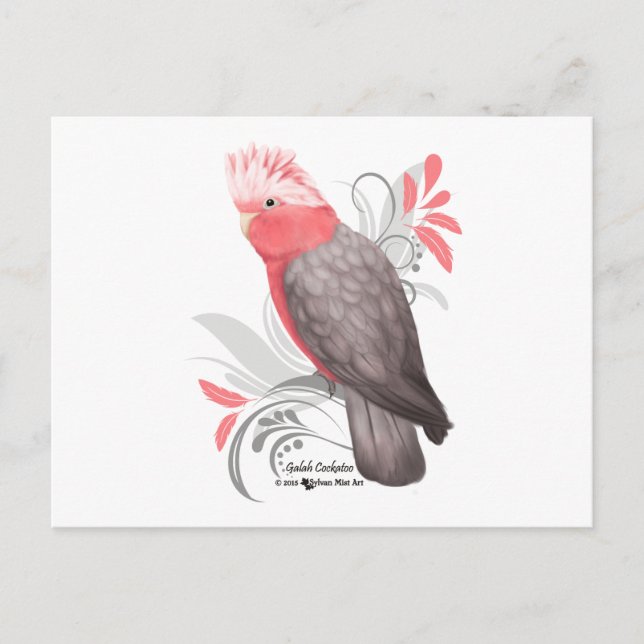 Galah Cockatoo Postkarte (Vorderseite)