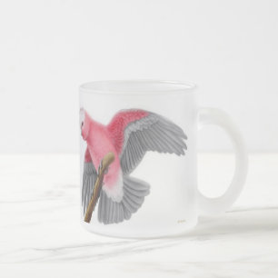 Galah Cockatoo-Tasse Mattglastasse