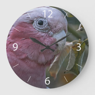 Galah Große Wanduhr