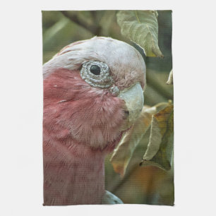 Galah-Kakadu Rosa Australischer Vogelporträt Geschirrtuch
