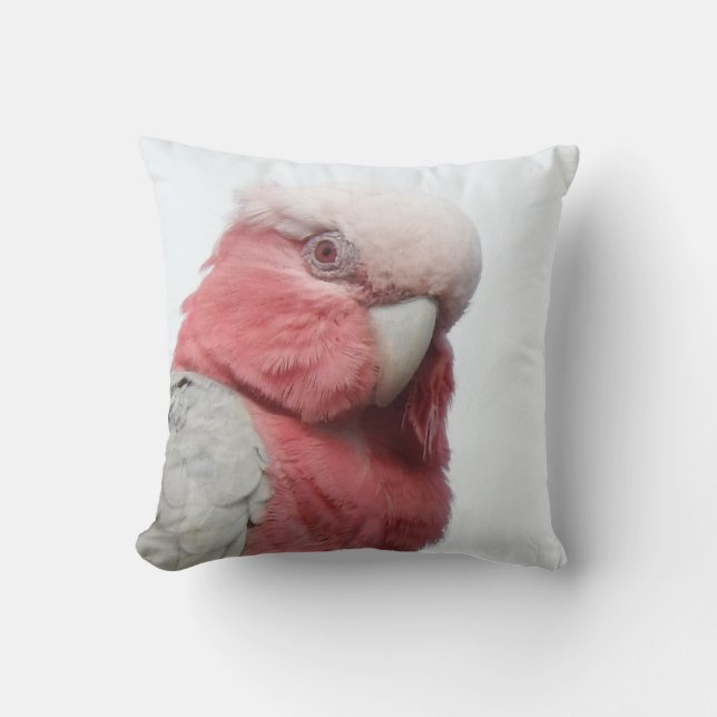 Galah Kissen (Vorderseite)