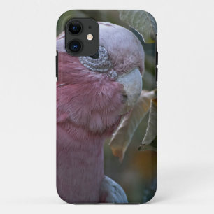 Galah oder Rose-Kakadu Case-Mate iPhone Hülle