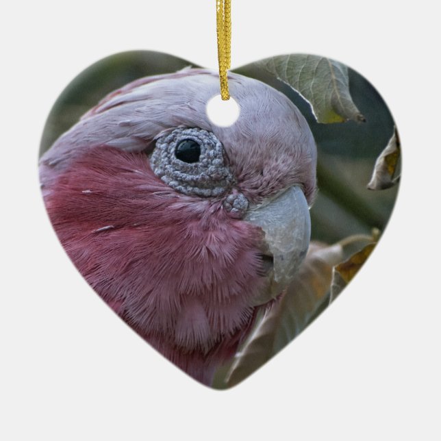 Galah oder Rose-Kakadu Keramik Ornament (Vorne)