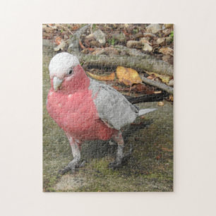 Galah Puzzlespiel Puzzle