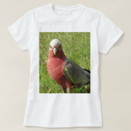 Galah T - Shirt