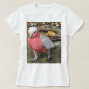 Galah T - Shirt