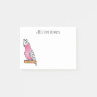 Galah Vogel Cartoon Illustration