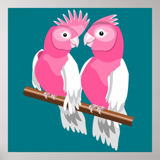 Galahs Poster (Vorne)