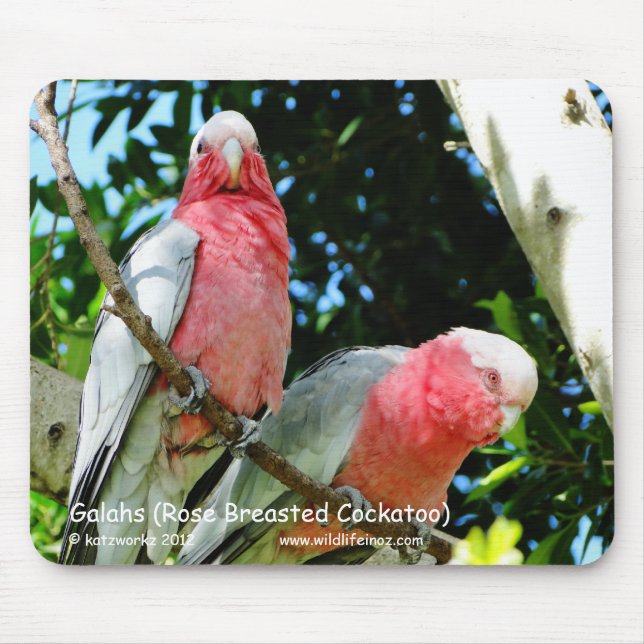 Galahs (Rose Breasted Cockatoo) Mousepad (Vorne)