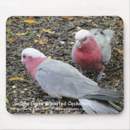 Galahs (Rose Breasted Cockatoo) Mousepad