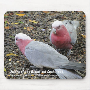 Galahs (Rose Breasted Cockatoo) Mousepad