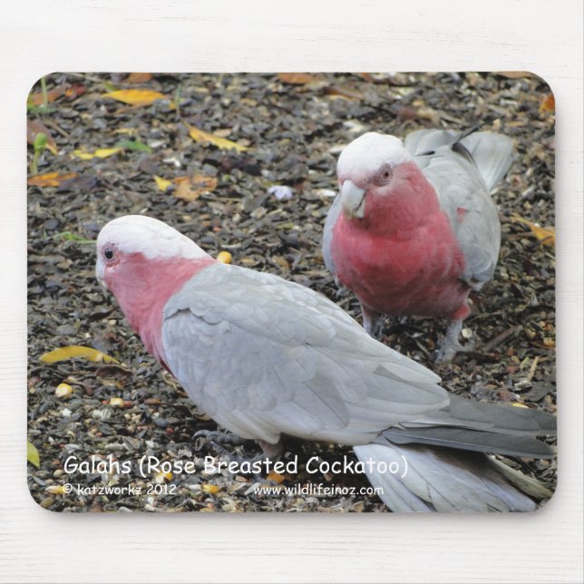 Galahs (Rose Breasted Cockatoo) Mousepad (Vorne)