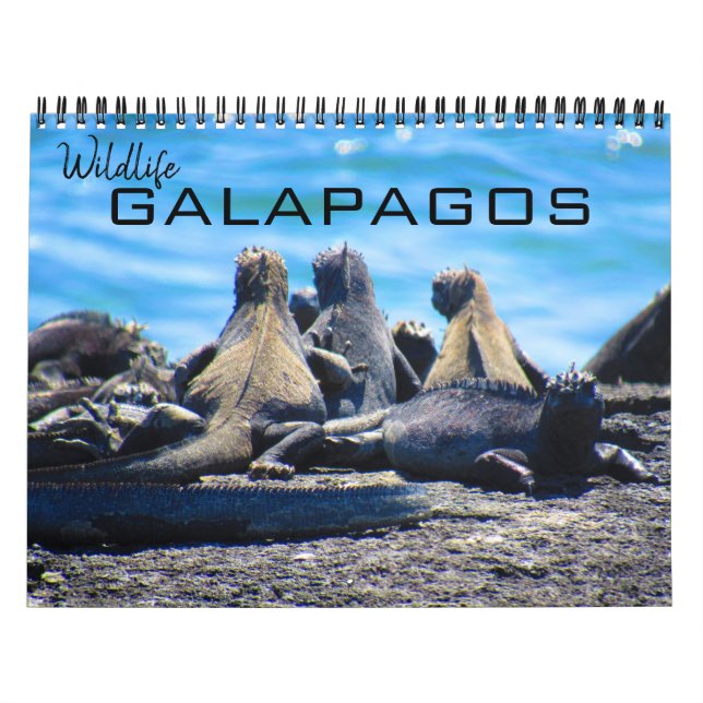 Galapagos 2025 kalender (Titelbild)