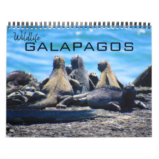 Galapagos 2025 kalender
