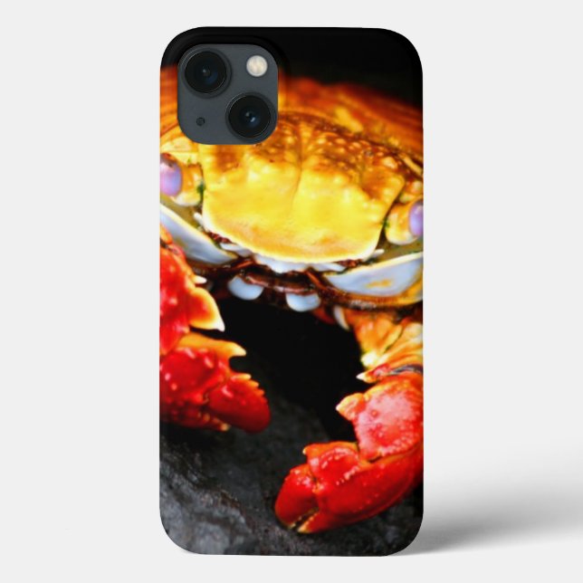 Galapagos Crab Case-Mate iPhone Hülle (Rückseite)