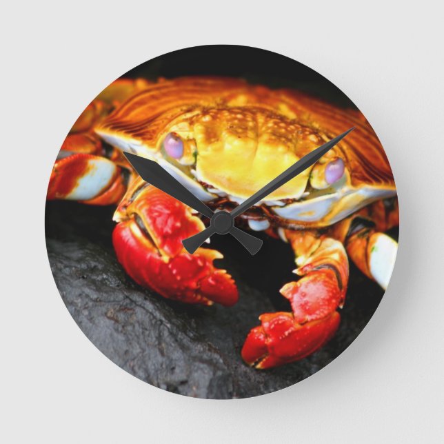 Galapagos Crab Runde Wanduhr (Vorderseite)