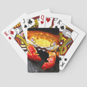 Galapagos Crab Spielkarten