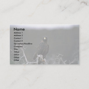 Galapagos-Falke Visitenkarte