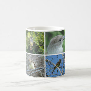 Galápagos Flycatcher Tasse