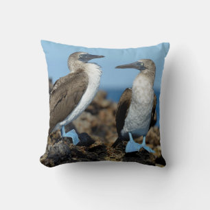 Galapagos-Inseln, Isabela-Insel Kissen