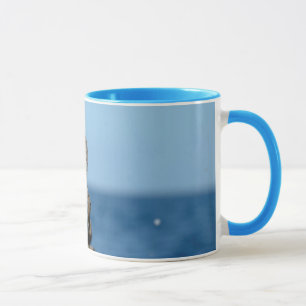 Galapagos-Inseln, Isabela-Insel Tasse