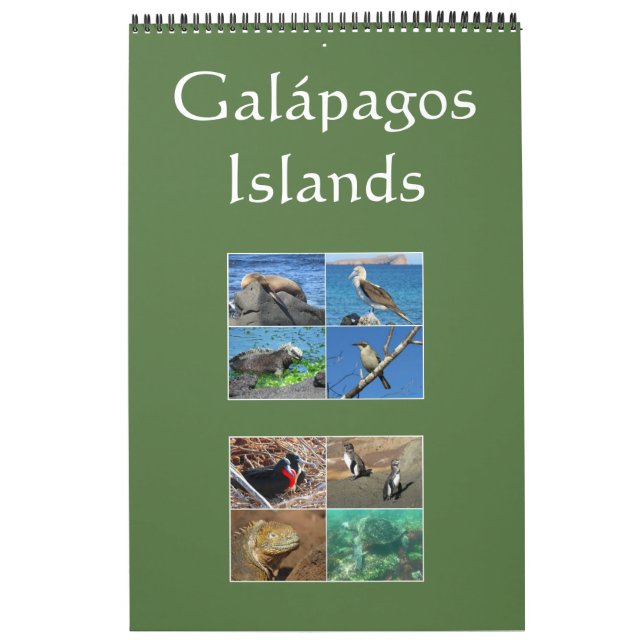 Galapagos-Inseln Kalender (Titelbild)