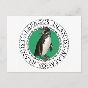 Galapagos-Inseln Pinguin Postkarte