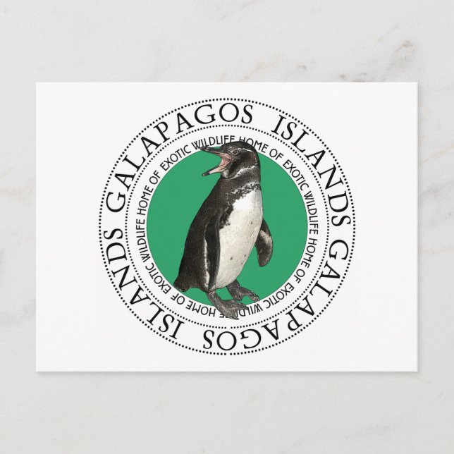 Galapagos-Inseln Pinguin Postkarte (Vorderseite)
