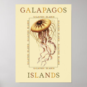 Galapagos-Inseln Poster
