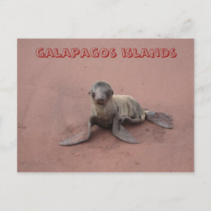 Galapagos-Inseln Postkarte