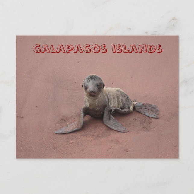 Galapagos-Inseln Postkarte (Vorderseite)