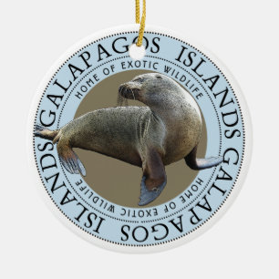 Galapagos Inseln Sea Lion Weihnachten Keramik Ornament