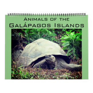 Galapagos Inseln Tiere 2025 groß Kalender