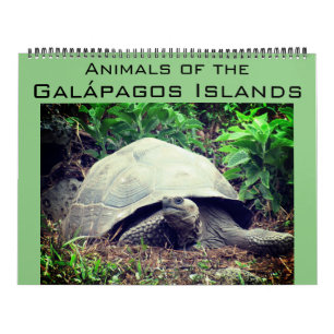 galapagos inseln tiere 2027 groß kalender