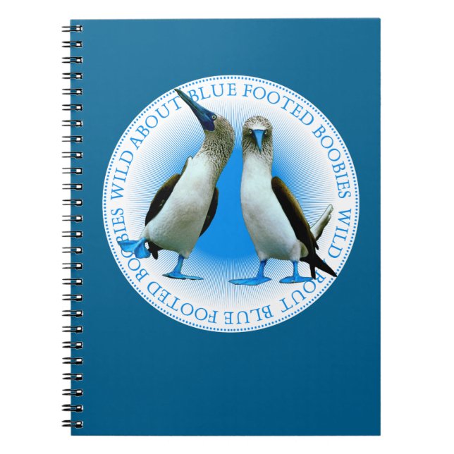 Galapagos Islands Blue Footed Boobies Notebook Notizblock (Vorderseite)