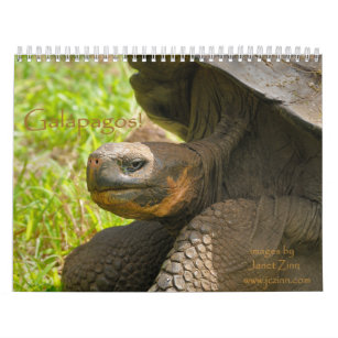Galapagos! Kalender