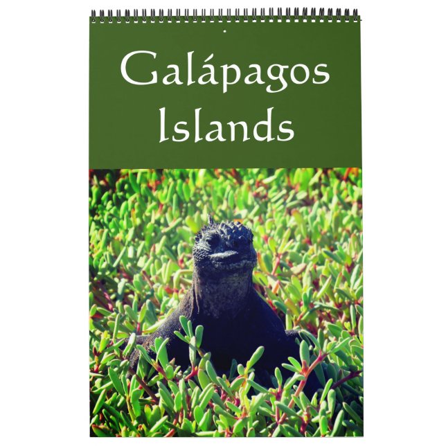 Galapagos Kalender (Titelbild)