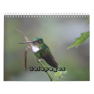 Galapagos-Kalender Kalender