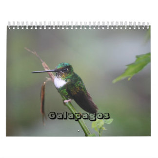 Galapagos-Kalender Kalender