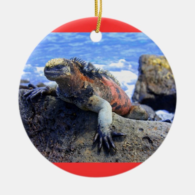 Galapagos Keramikornament (Vorne)