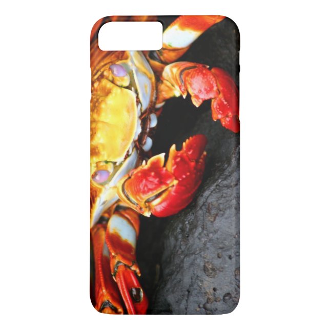 Galapagos-Krabbe Case-Mate iPhone Hülle (Rückseite)