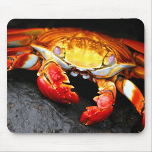 Galapagos-Krabbe Mousepad