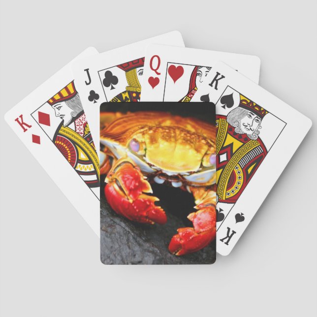 Galapagos-Krabbe Spielkarten (Rückseite)