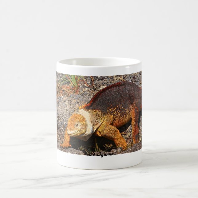 Galapagos-Land-Leguan Kaffeetasse (Mittel)