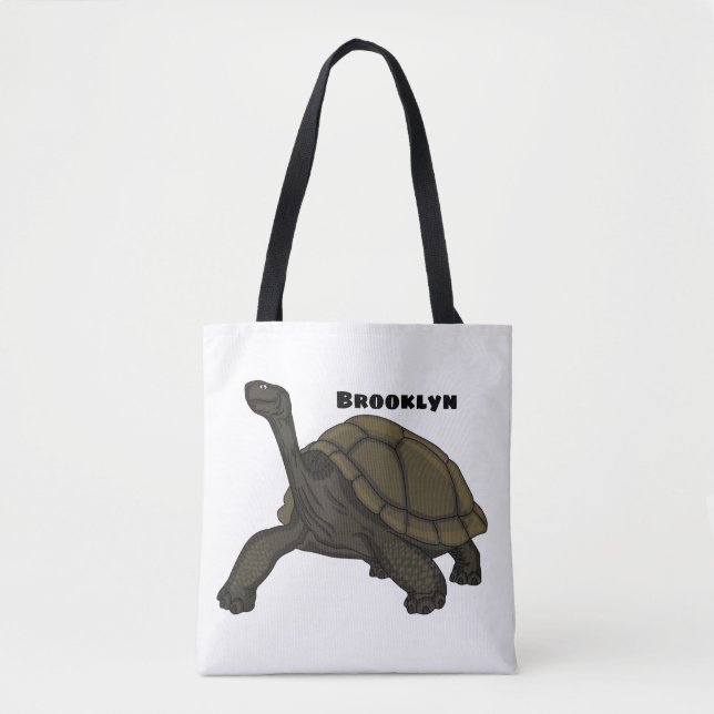 Galapagos-Landschildkröte (Vorderseite)
